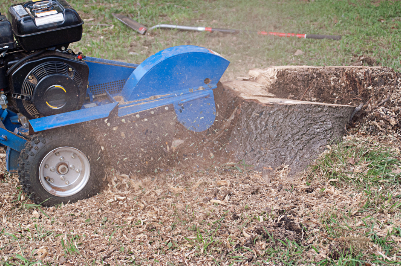 Man in a red shirt spreading wood chips in a garden bed