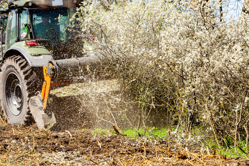 Brush Hogging Tractor Mowing Through Brush on Overgrown Land