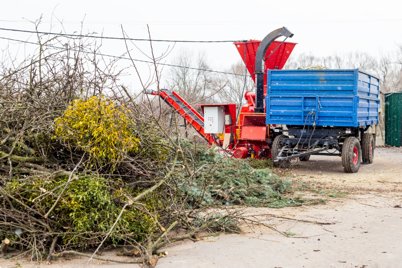 Brush chipping: Brush Pile In Process Of Cleanup And Chipping