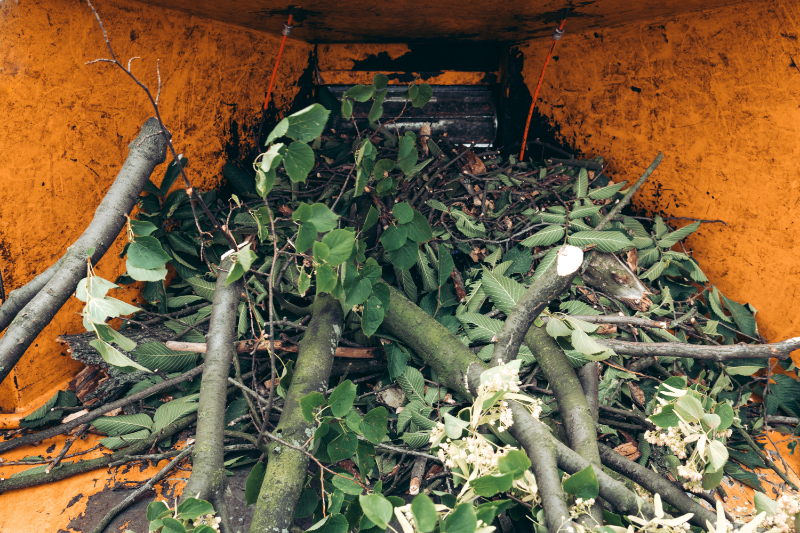Brush chipping: Closeup View Of Brush Fedding Into Wood Chipper