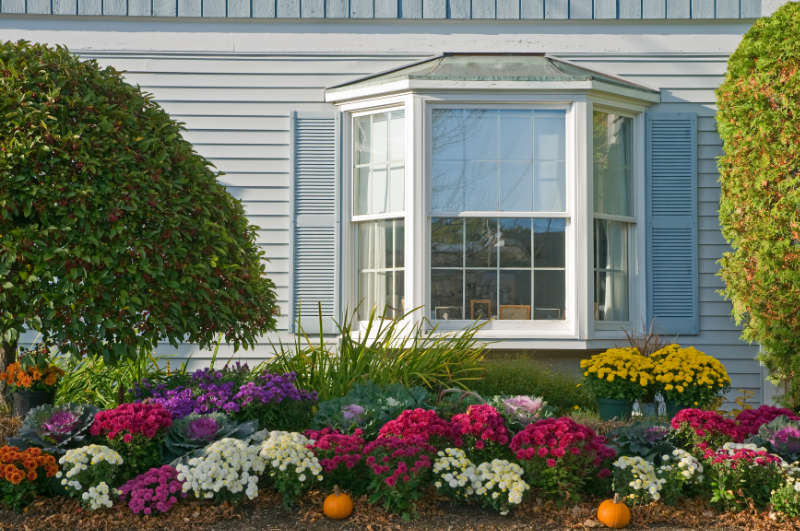 Landscaping Services Trimmed Bushes and Colorful Flowers Planted by House Window