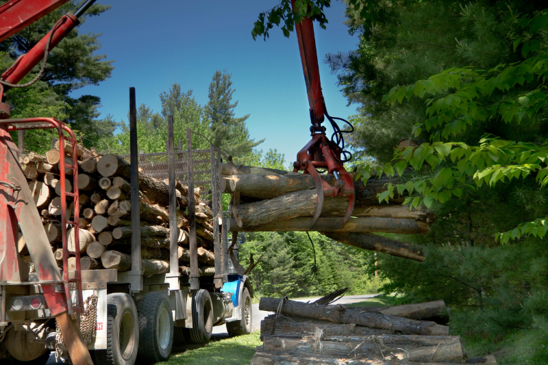 Red Grapple Loading Cut Logs Onto a Logging Truck
