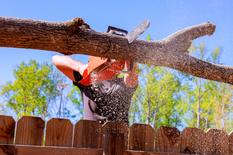 Brush chipping: Man Using Chainsaw To Trim Tree Branch Near Residential Fence