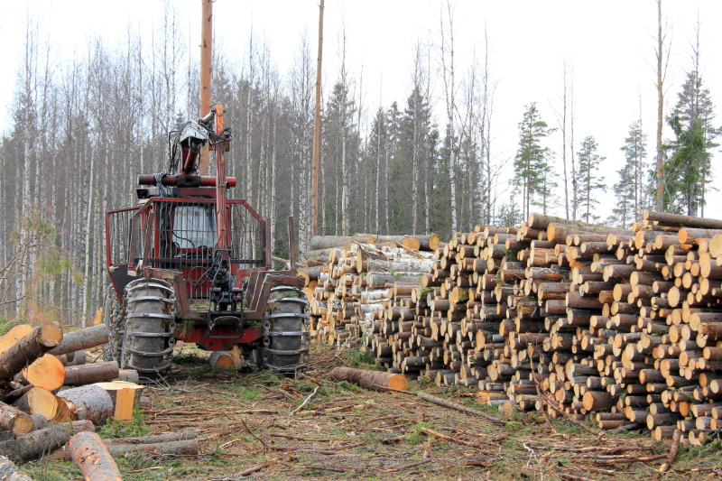 Logging Services Equipment and Timber Clearing Example