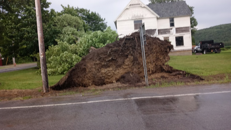 Brush chipping: Tree Fallen Near House During Summer Storm 2