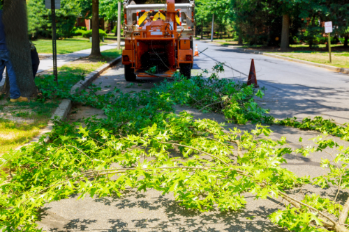 Cleanup of Tree Branches on a Residential Street