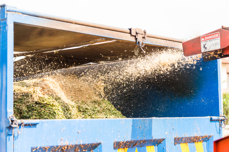 Wood Chipper Spraying Wood Chips Into the Back of a Dump Truck