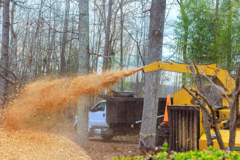 Brush chipping: Yellow Wood Chipper Spraying Wood Chips Into Pile